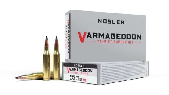 Nosler .243 Winchester Flat Base Tipped 70 grain Brass Cased 500 rounds